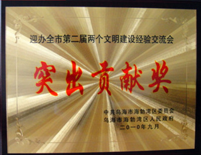 2010年烏海市文明建設(shè)經(jīng)驗交流會突出貢獻(xiàn)獎